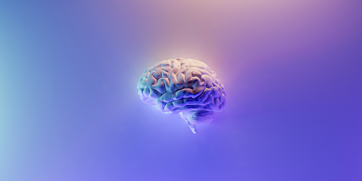 Cérebro e sistema endocanabinóide